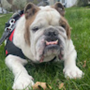 Meet your Posher, James